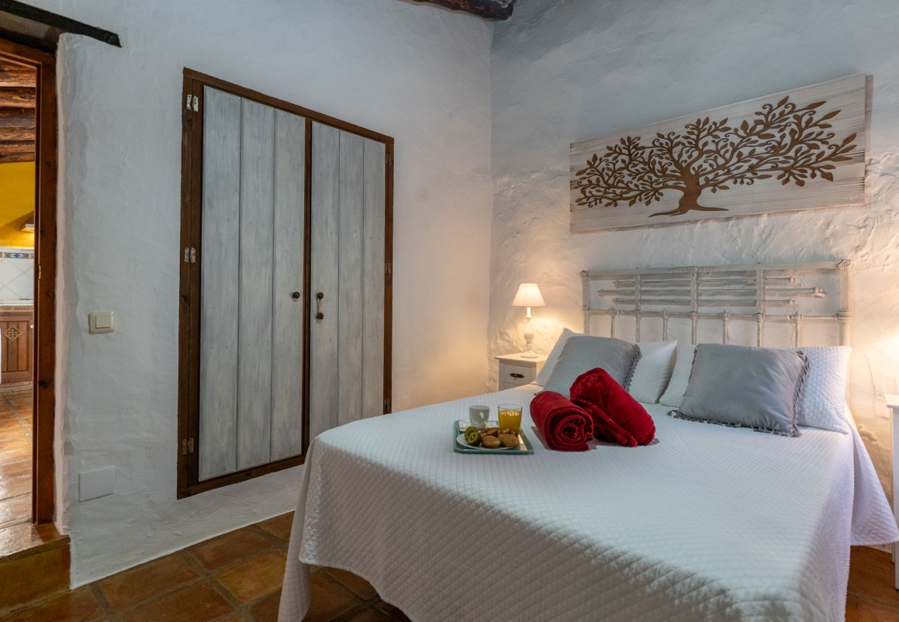 Casa rural en Frigiliana - Acebuchal 001 