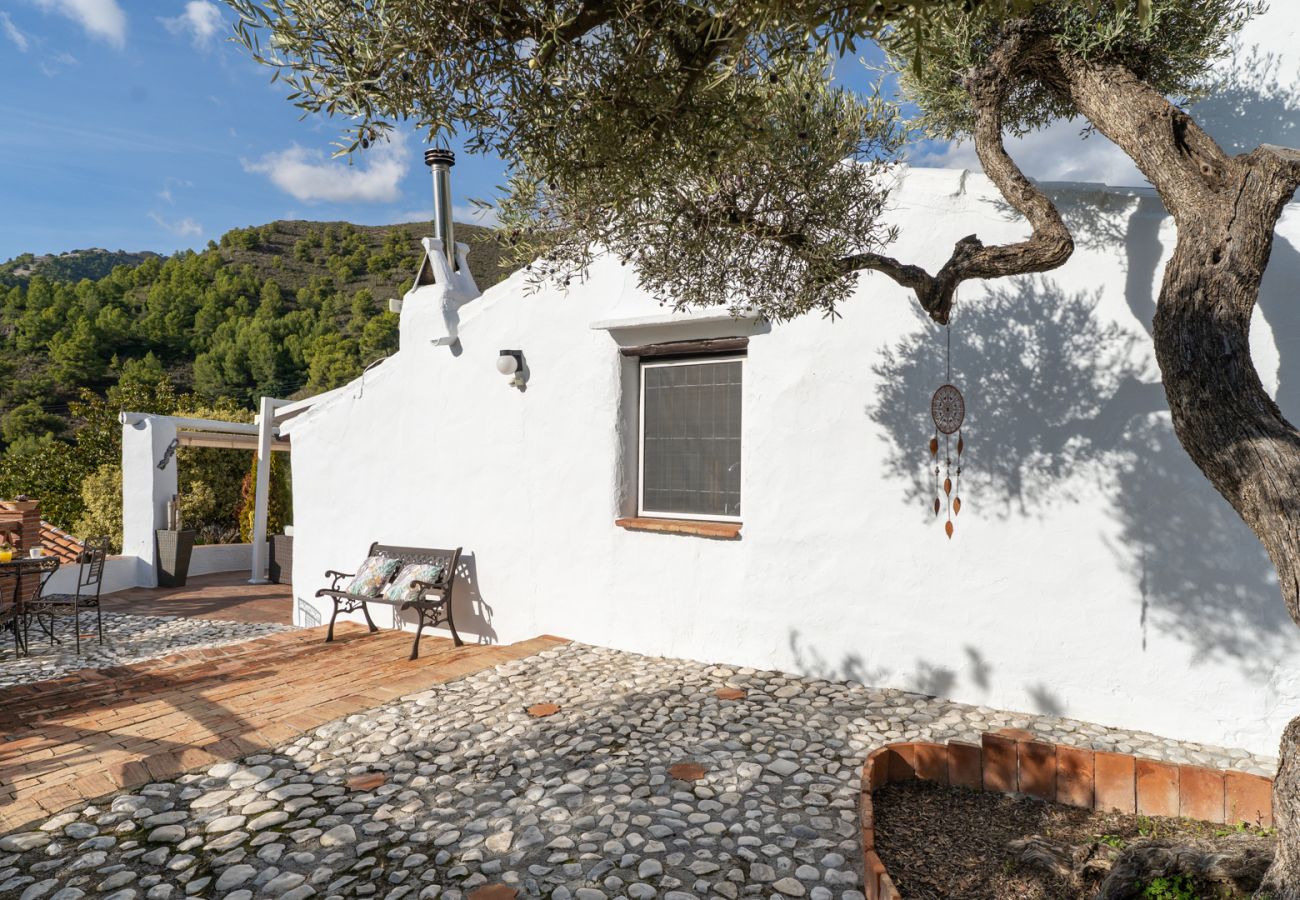 Casa rural en Frigiliana - Acebuchal 001 