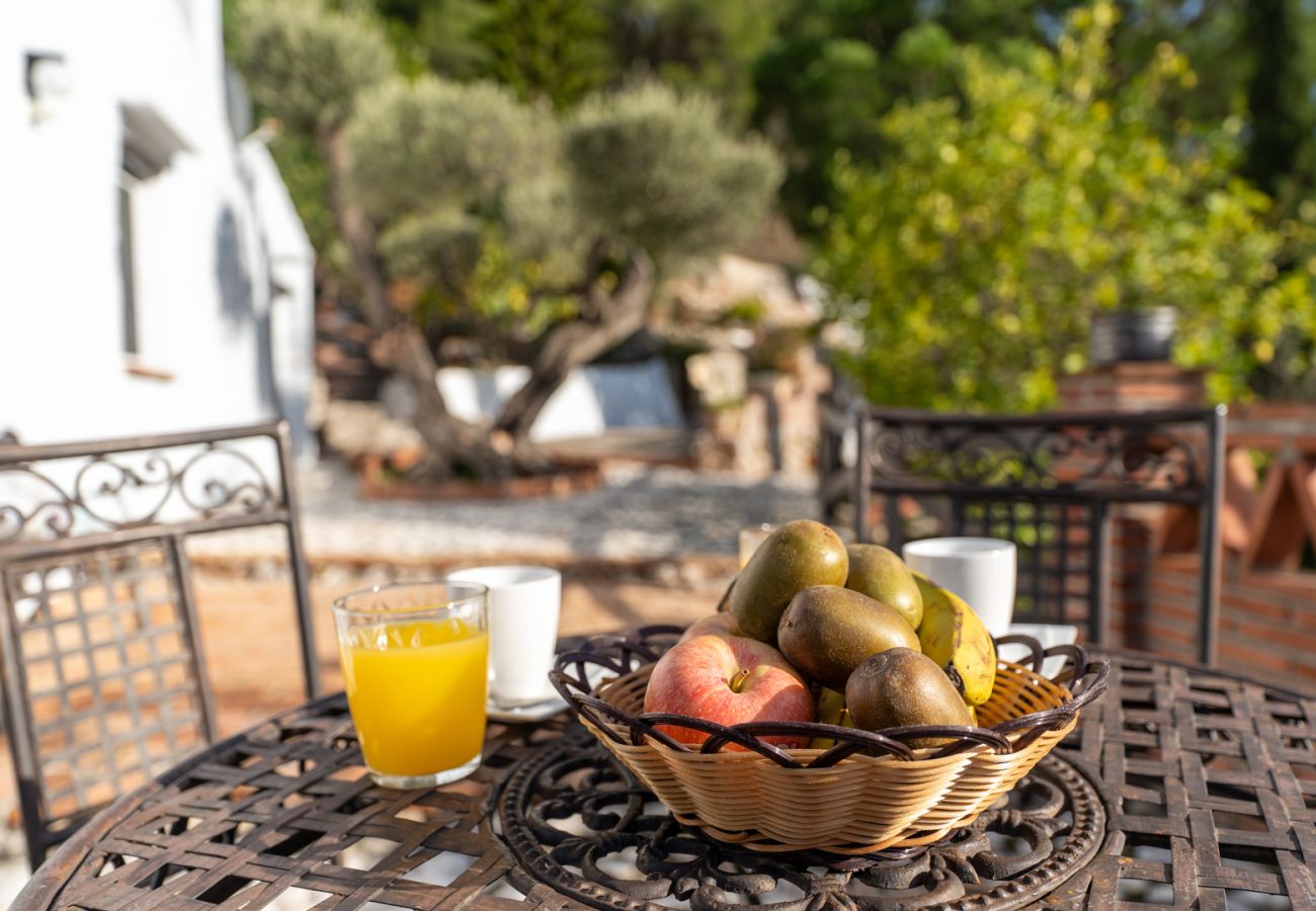 Casa rural en Frigiliana - Acebuchal 001 