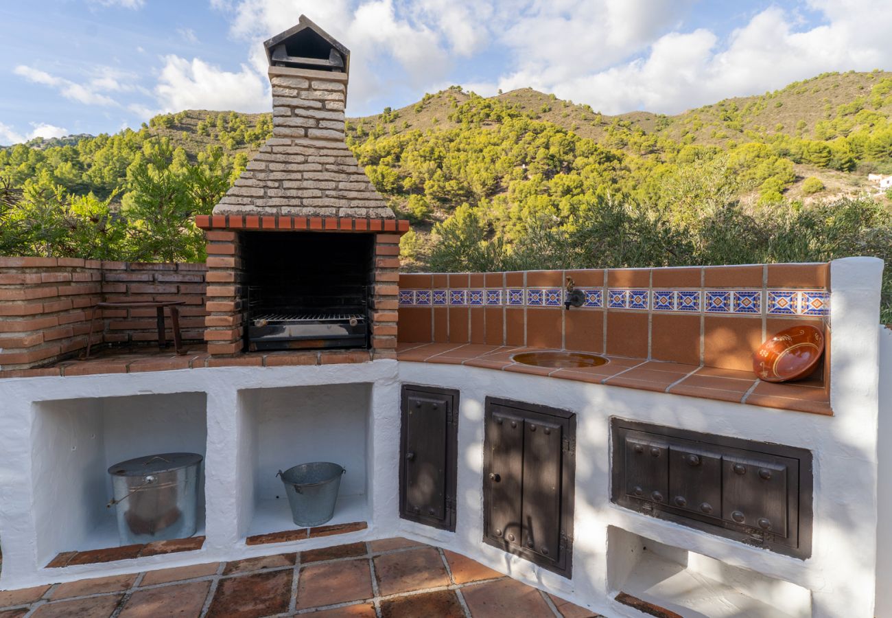Casa rural en Frigiliana - Acebuchal 001 
