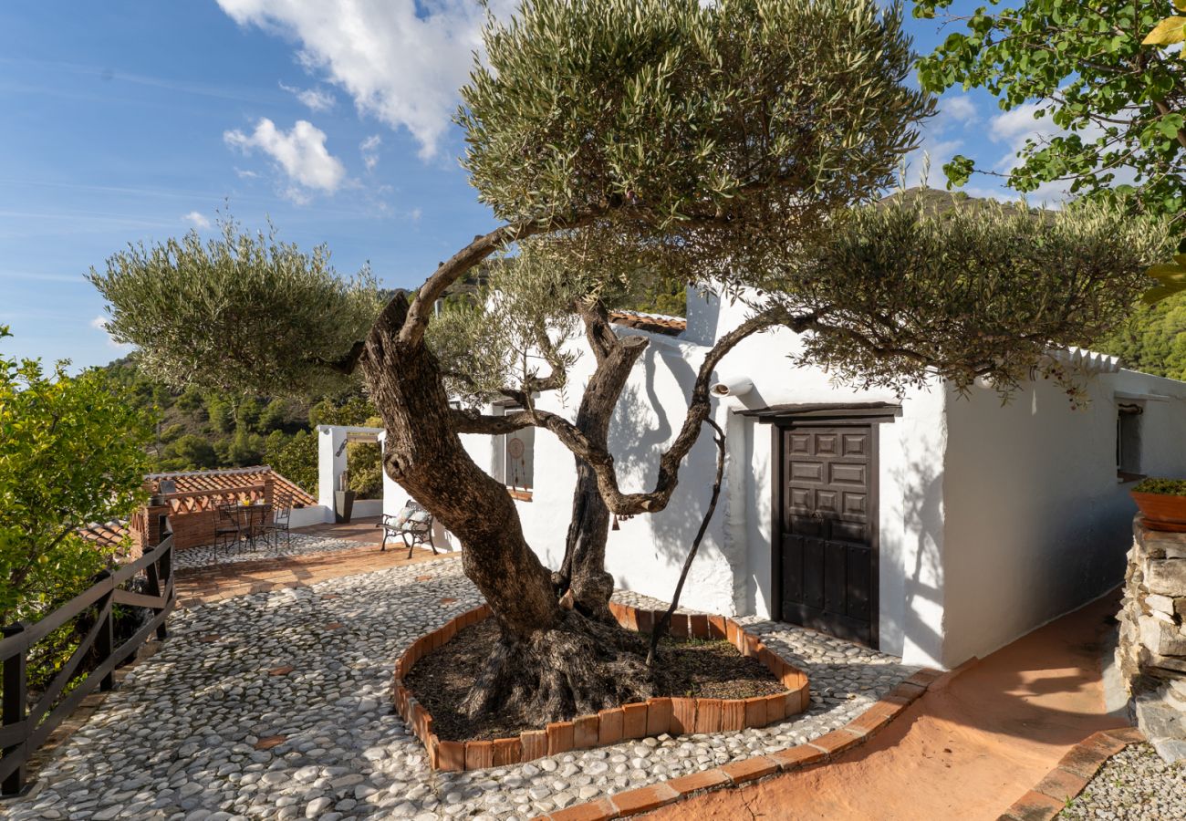 Casa rural en Frigiliana - Acebuchal 001 