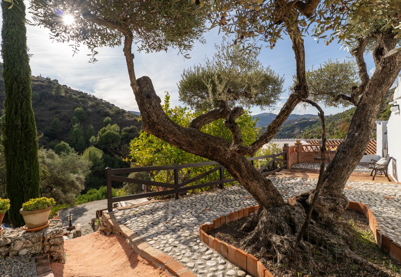 Casa rural en Frigiliana - Acebuchal 001 
