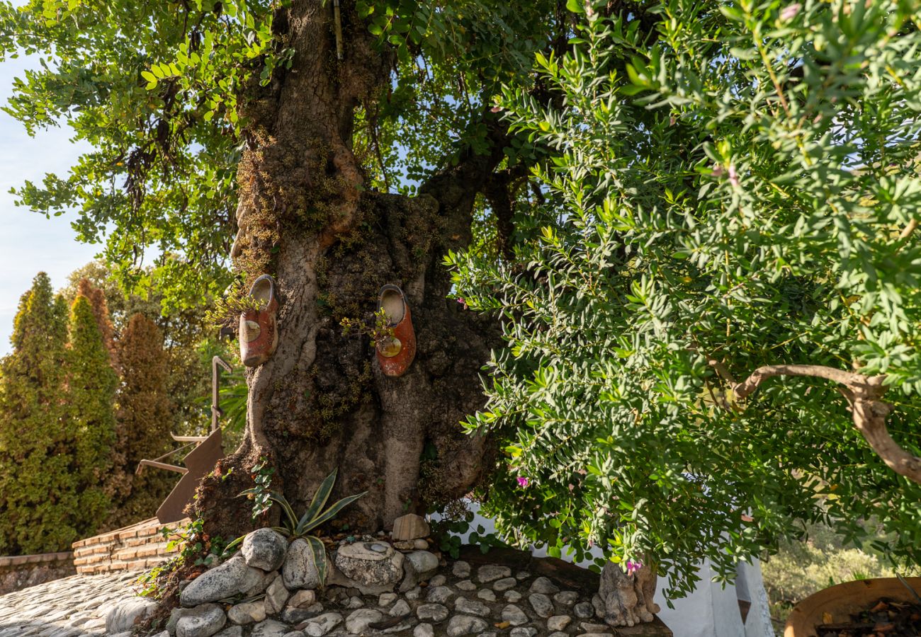 Casa rural en Frigiliana - Acebuchal 001 