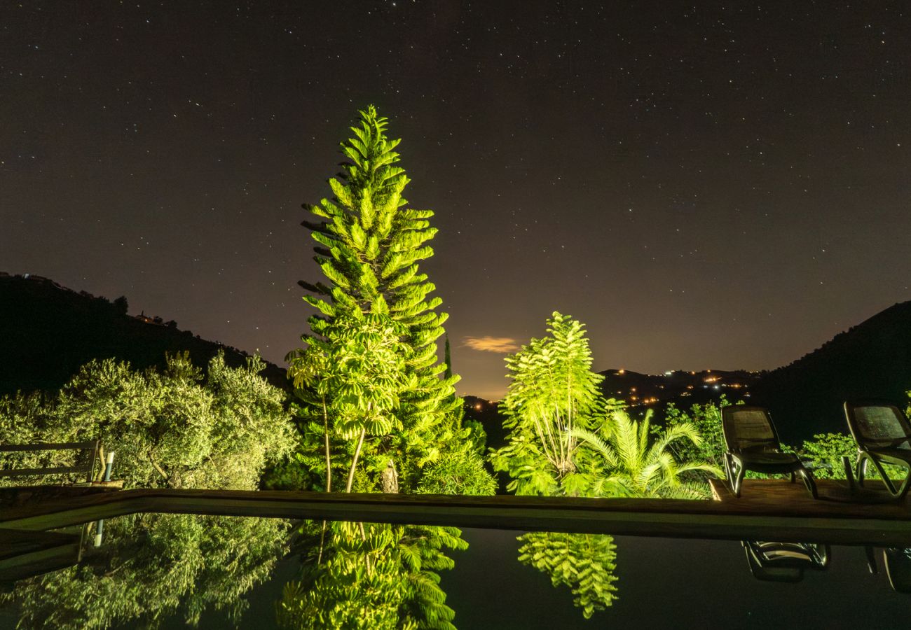 Casa rural en Frigiliana - Acebuchal 001 