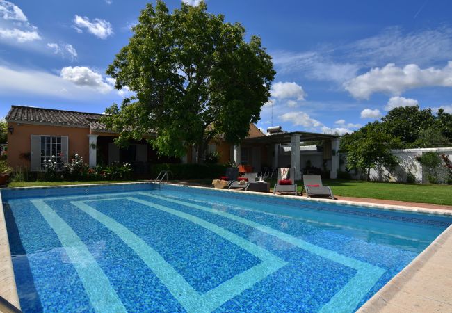 Villa en Palma del Río - Cordoba 004 Villa en Palma del Río - Cordoba 004