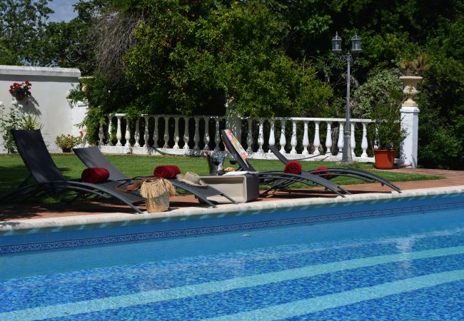 Villa en Palma del Río - Cordoba 004 Villa en Palma del Río - Cordoba 004