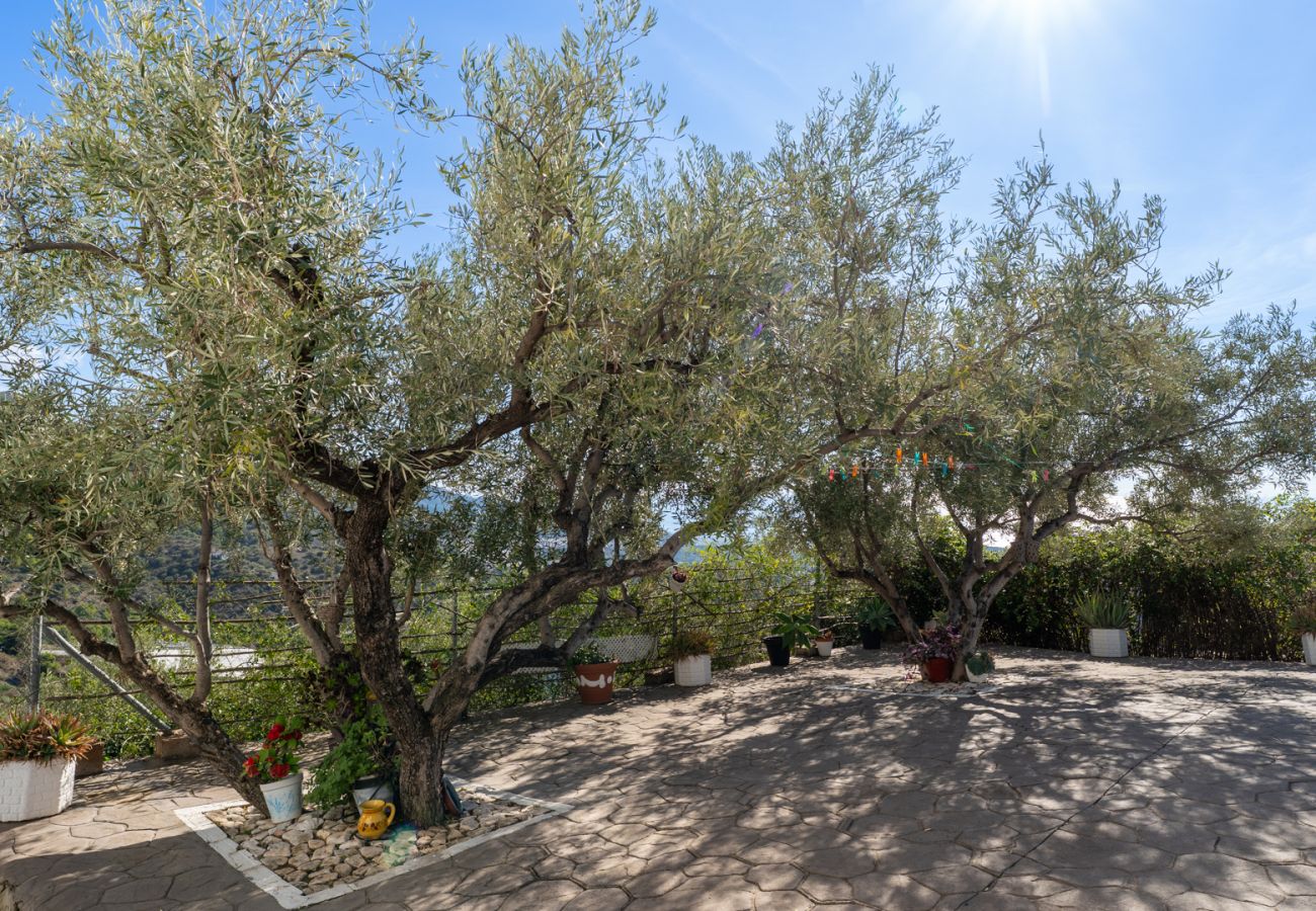 Villa en Frigiliana - Frigiliana 015