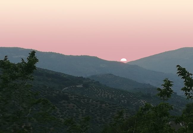 Villa en Los Villares - Jaén 002 Villa en Los Villares - Jaén 002