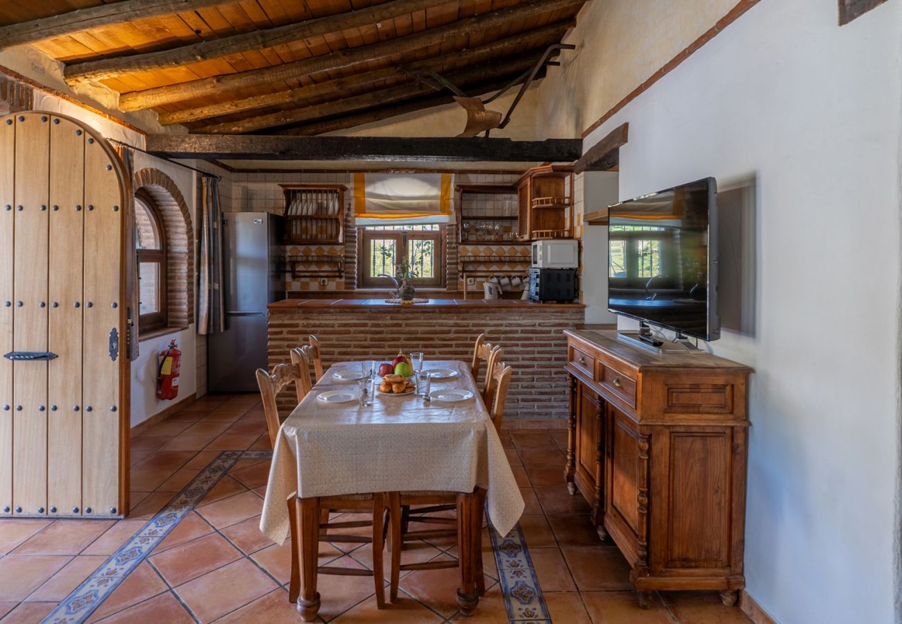 Villa en Frigiliana - Frigiliana 033