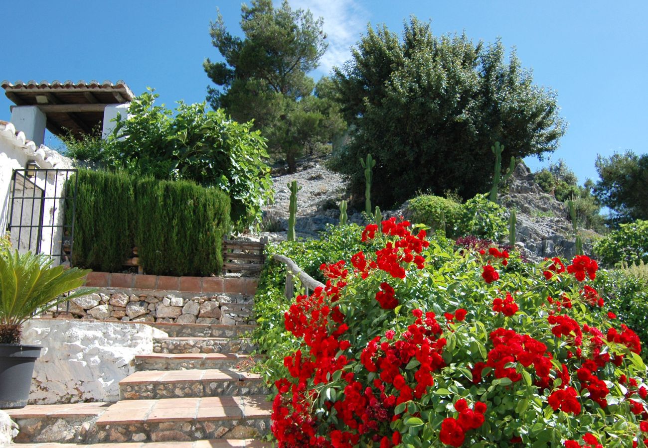 Villa en Frigiliana - Acebuchal 002