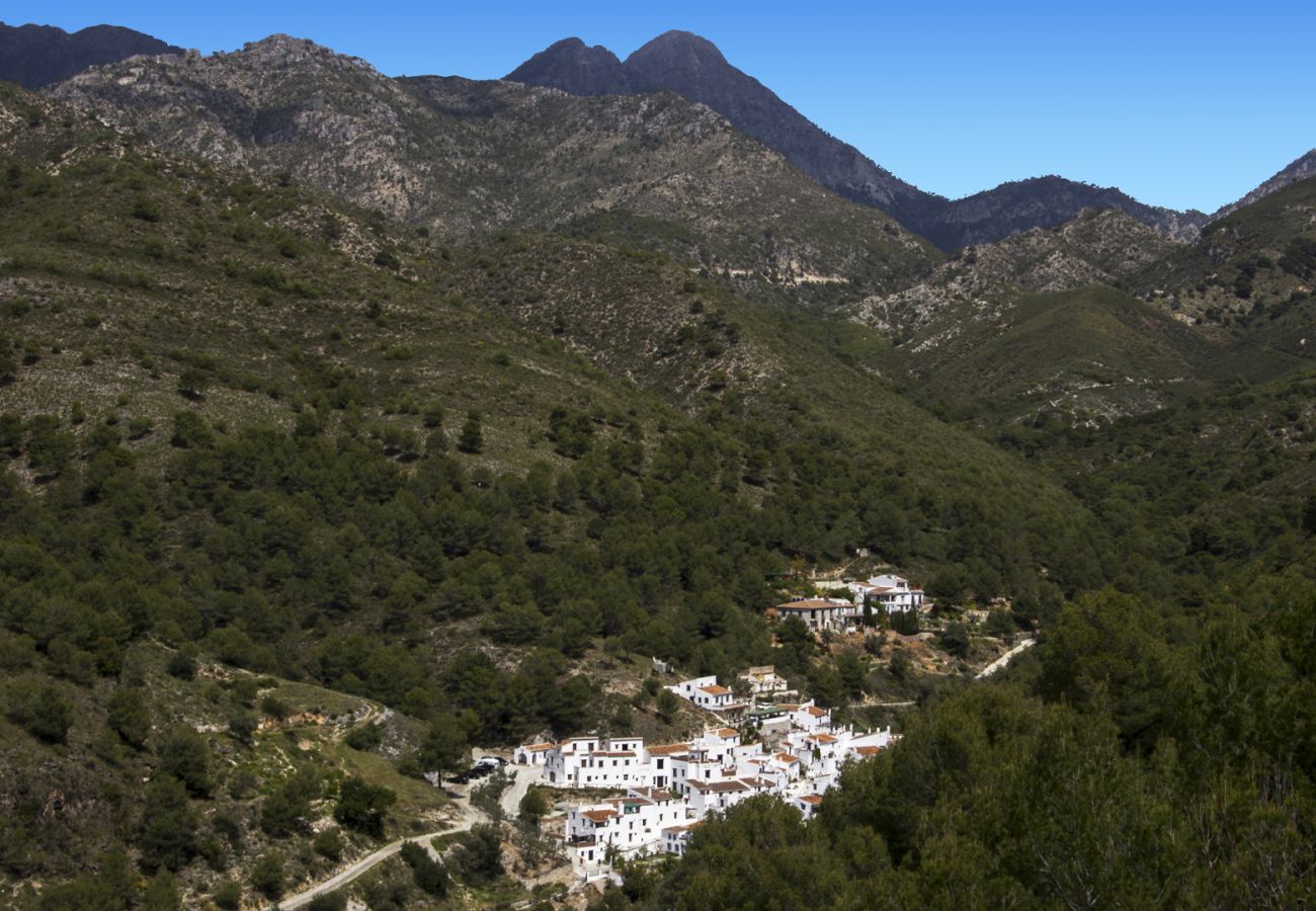 Villa en Frigiliana - Acebuchal 002